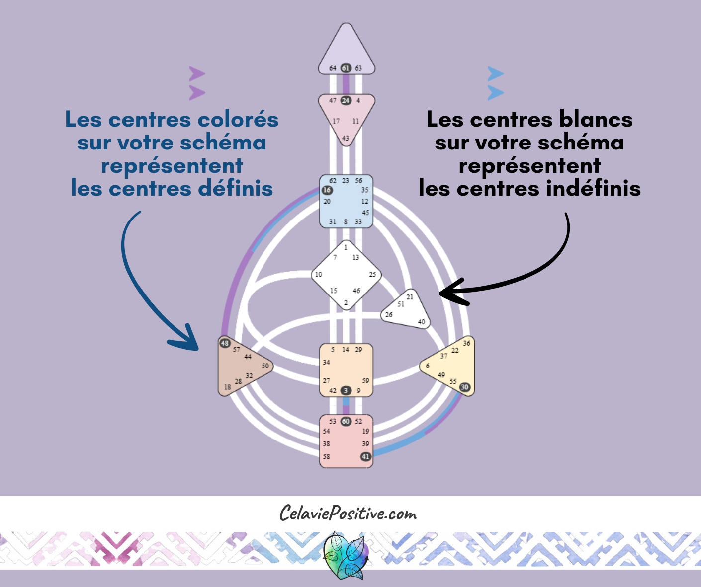 chemin d'évolution